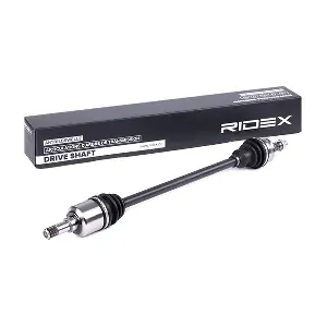 13D0243 RIDEX