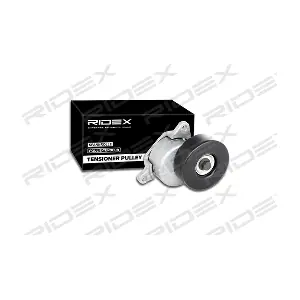 RIDEX 541V0021