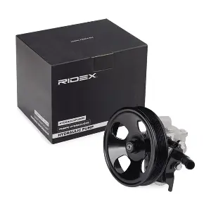 12H0273 RIDEX