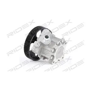 12H0095 RIDEX