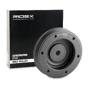 3213B0012 RIDEX