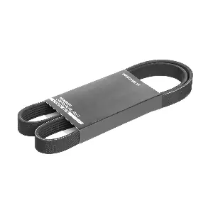 RIDEX 305P0501