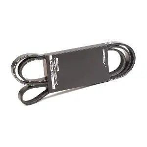 305P0321 RIDEX