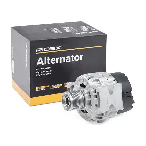 4G1363 RIDEX