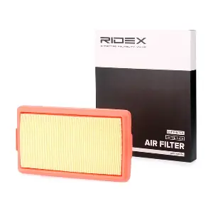 RIDEX 8A0379