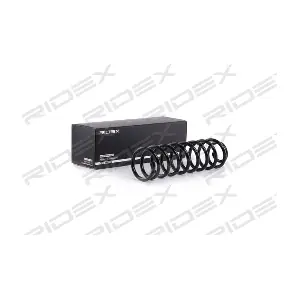 188C0496 RIDEX