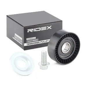 310T0096 RIDEX
