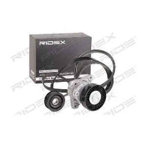 RIDEX 542R0252