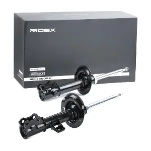 854S2035 RIDEX