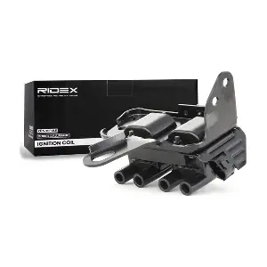 RIDEX 689C0118