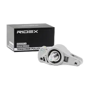 540T0003 RIDEX
