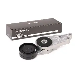 541V0006 RIDEX
