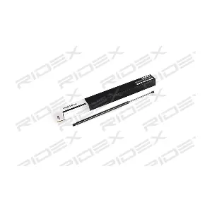 RIDEX 219G0537