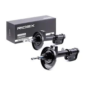 854S1905 RIDEX