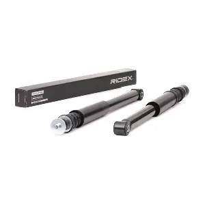 854S18109 RIDEX