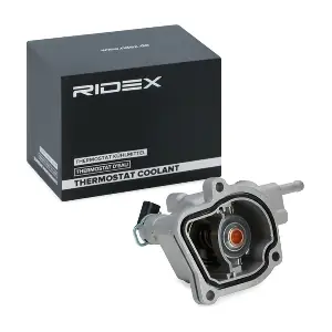 RIDEX 316T0062