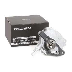 387V0113 RIDEX