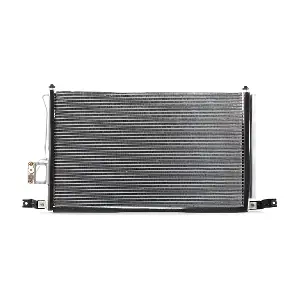 RIDEX 448C0080