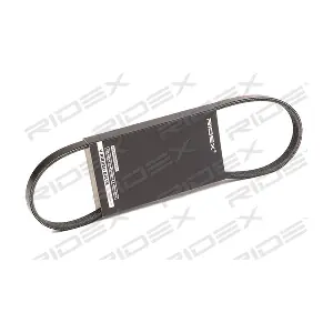 305P0342 RIDEX