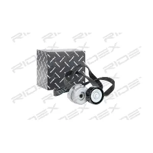 542R0301 RIDEX