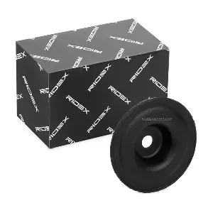 1180S0280 RIDEX