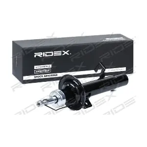 854S1919 RIDEX