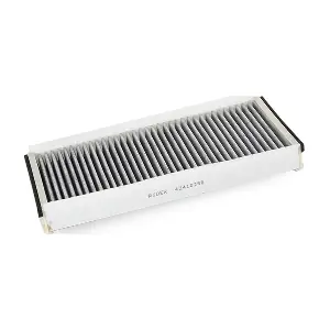 RIDEX 424I0256