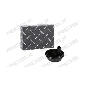 RIDEX 412W0398