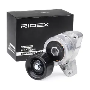 RIDEX 310T0173