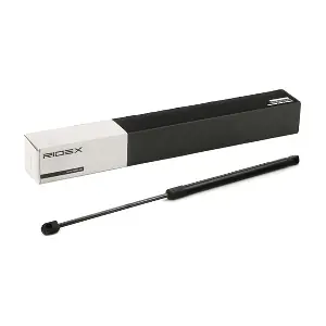 219G0856 RIDEX