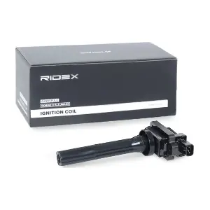 689C0016 RIDEX