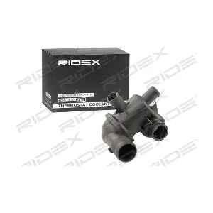 316T0217 RIDEX