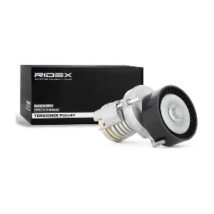RIDEX 310T0017