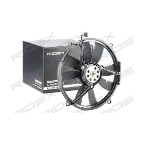 508R0119 RIDEX