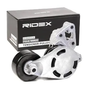 RIDEX 541V0027