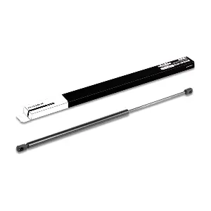 219G0070 RIDEX
