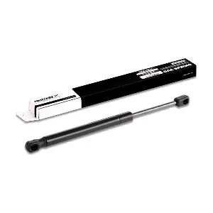 RIDEX 219G0203