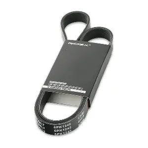 RIDEX 305P0399