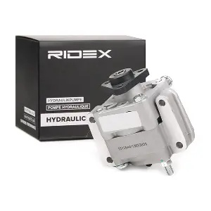 12H0076 RIDEX