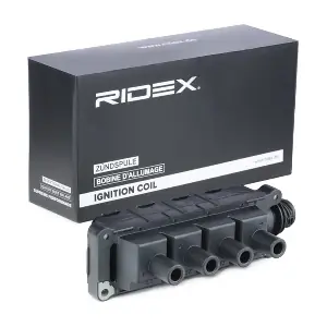 689C0297 RIDEX