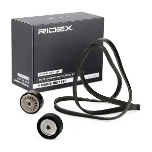 RIDEX 542R0501