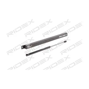 219G0864 RIDEX