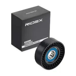 RIDEX 310T0242