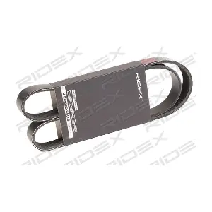 305P0439 RIDEX