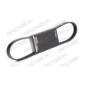 RIDEX 305P0317