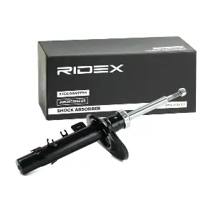 854S1769 RIDEX
