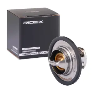 RIDEX 316T0031
