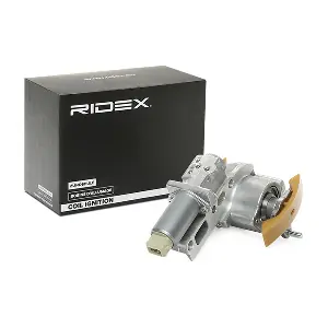 3826C0027 RIDEX
