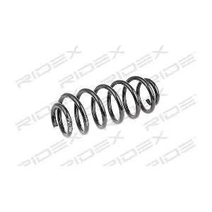188C0424 RIDEX