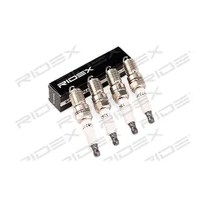 686S0325 RIDEX